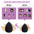 BS-MALL Makeup Brushes 16 Pcs Purple Short Handle Travel Makeup Brus Set with 1 Triangle Puff (Purple)…...