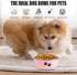 Stainless Steel Dog Bowls, Nonslip Rubber Bottom No Spill Proof Skid Metal Insulated Dog Bowls for Large Medium Small Breed Dogs (Pink, 6.6 Cups/5...