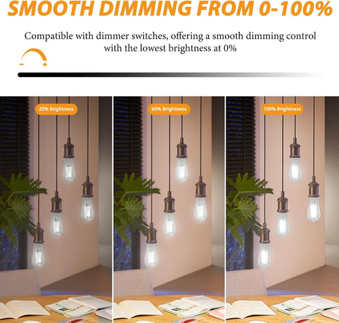 Vintage LED Edison Light Bulbs Dimmable 6W, Equivalent 60W Incandescent, ST58 Antique LED Bulb Daylight White 5000K, LED Filament Bulb E26 Base, C...