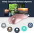 Wireless Bluetooth Rechargeable Mouse for Apple MacBook Air Pro iMac Mac Air, Wireless USB C Mouse Type C for iPad Air Pro/Surface Pro/Desktop, Bl...