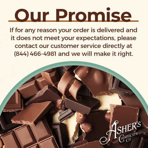 Asher's Chocolates Company, Chocolate Covered Graham Crackers, Made From the Finest Kosher Chocolate, Small Batches, Family Owned Since 1892 (7.15...