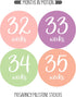 Pregnancy Weekly Belly Growth Stickers, 36 pcs - Purple Pink, Matte Finish, Cloth Surface, for Maternity Photo Sessions & Keepsakes...