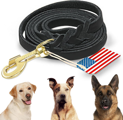 Premier 6Ft Leather Dog Training Leash. Made from Leather and is a Great Option for Hunting Dogs or General Obedience in The Backyard.Christmas Do...