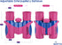 Binoculars for Kids, Girls or Boys Real Kids Binoculars in Vibrant Pink Blue - includes Sticker Book with 40 Bird Species - Kids Toys Small Binocu...