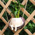 Smiley Face Planter Pot, Hanging Swing Chair Flower Head Resin Planters for Indoor Outdoor Plants Succulent Pots for String of Pearls Plant Live G...