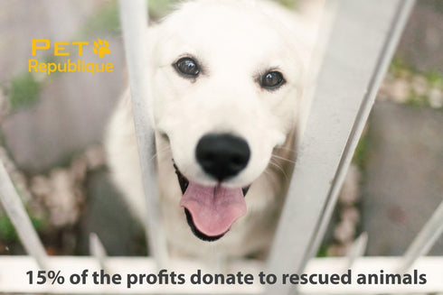 Dog Toothbrush Set of 3 – Dual Headed Dental Hygiene Brushes for Small to Large Dogs, Cats...