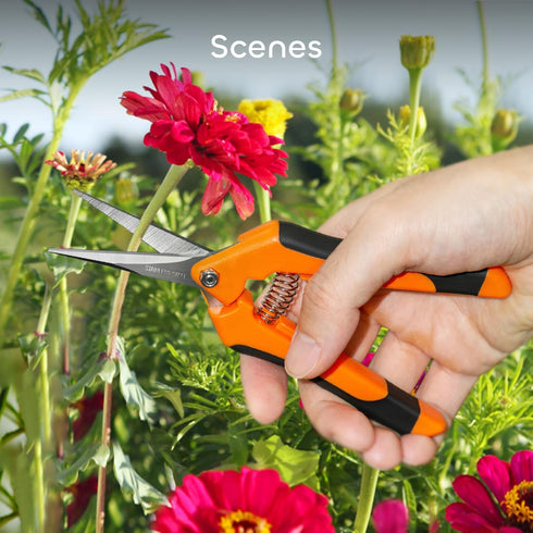 GROWNEER 3 Packs 6.5 Inch Pruning Shears Gardening Hand Pruning Snips Gardening Scissors with Straight Stainless Steel Precision Blades...