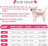 Kallfir's cutie 4 Pieces Dog Clothes for Small Dogs Girl Summer Spring Dog Shirts Cute Soft Chihuahua Yorkie Clothes Pet T-Shirt Breathable Puppy ...