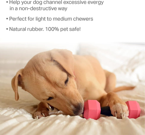 Friends Forever Dog Chew Toy, Interactive Treat Dispensing Toys, Dog Puzzle Fun Indoor Play, Non-toxic Durable Natural Rubber, Pink/Orange 2 Piece...