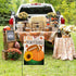 Fall Football Garden Flag 12x18 Inch Double Sided Pumpkin Outdoor Fall Football Party Decorations Sign Autumn Farmhouse Small Burlap Garden Flags ...