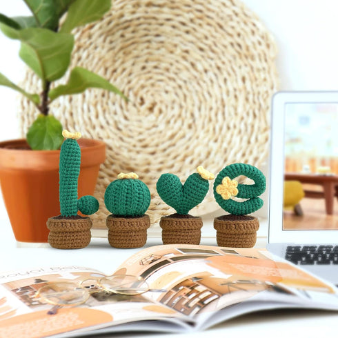 ArwySciI Crochet Kit for Beginners, 4 PCS Potted Kits with Yarn, Step by Step Videos, DIY Crafts for Adults and Kids, Gifts for Crochet Lovers, Bi...