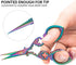 Embroidery Scissors, Stainless Steel Sharp Tip Scissors, Thread Scissors DIY Tools for Embroidery, Craft, Needle Work, Art Work & Everyday Use, 2 ...