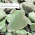 Gua Sha Facial Tools, Natural Jade Guasha Tool for Face,Double Chin & Jawline, Gua Sha Stone Self-Skin Care Face Stone Gua Sha tools for Women Gua...