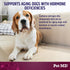 Pet MD Bladder Support Plus Cranberry for Dogs - Support Bladder Control & Urinary Tract Health - Help Relieve Dog UTI & Incontinence - Wild Yam R...