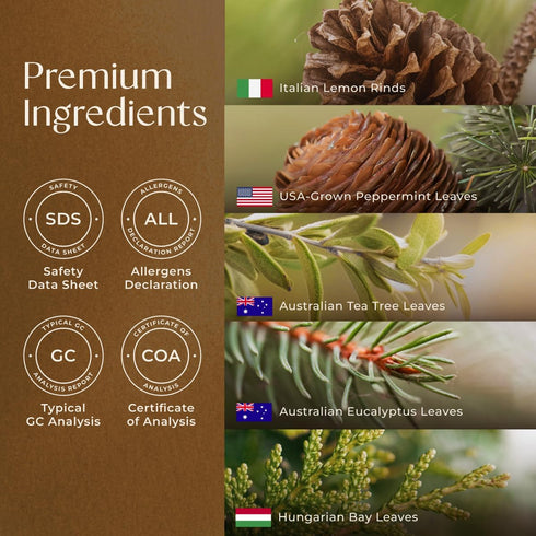 Gya Labs Breathe Essential Oil Blends - 100% Pure Natural Breathe Easy Essential Oils from Eucalyptus, Peppermint and More for Humidifier Cleaner ...