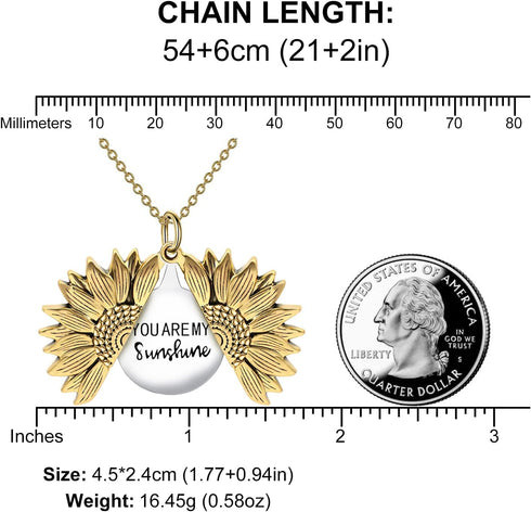 SLOONG You are My Sunshine Inspiring Engraved Necklace Memorial Hidden Message Sunflower Locket Necklace (Beautiful girl you can do amazing things...