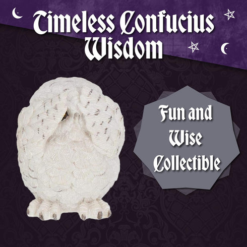 Nemesis Now See No Evil Hear No Evil Speak No Evil Figurines, Adorable Hand-Painted Resin Collectibles and Gift, 8cm - Owls...
