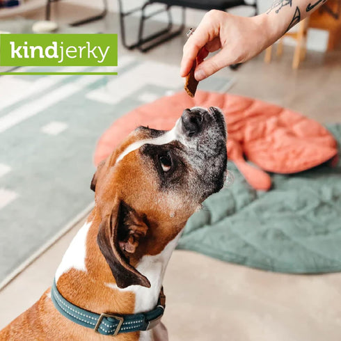 V-dog Kind Jerky - 100% Vegan Jerky Dog Treats - Plant Based Protein and Superfoods - 8 Ounce - All Natural - Made in The USA...