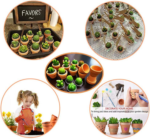 Succulent Candles, Novelty Cactus Tealight Candle Baby Shower Candle Decorations for Party Favors Terrarium Cacti candels Home Decor…...