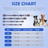 Martingale Collar for Dogs,Soft Neoprene Padded Reflective Martingale Collar and Leash Set Safety Buckle Nylon Martingale Dog Collars for Large Do...
