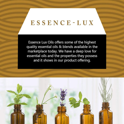 30ml Sandalwood Essential Oil 1 Fluid Ounce - Pure Sandalwood Aromatherapy Oil...
