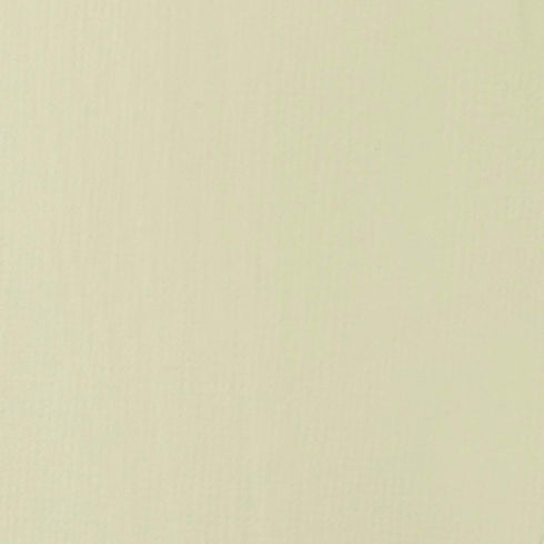 Liquitex BASICS Acrylic Paint, 118ml (4-oz) Tube, Parchment...