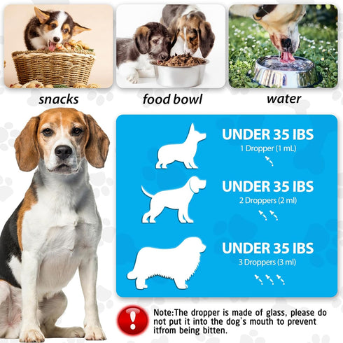 Dog Cough Treatmen - Kennel Cough for Dogs - Dog Allergy Relief - Natural Cough Supplement for Dogs - Herbal Drops for All Breeds & Sizes Natural ...