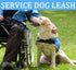 MayPaw 4FT Service Dog Leash, 1" and 1.25" Wide Nylon Dog Leash with Comfortable Neoprene Handle, Great for Medium to Extra-Large Dogs (4ft x 1.25...