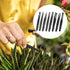 8 Pieces Venus Fly Trap Feeding Tweezers Carnivorous Plant Feeding Tongs Straight and Curved Food Tongs for Flytraps Pitcher Plants Butterwort Rep...