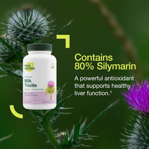 Fresh Nutrition Organic Milk Thistle Supplement - 2000mg Potent Strength – 4 Month Supply – Silymarin Thistle Seed Standardized Extract 4:1 - Made...
