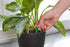 Miracle-Gro Indoor Plant Food Spikes, Includes 48 Spikes - Continuous Feeding for all Flowering and Foliage Houseplants - NPK 6-12-6...