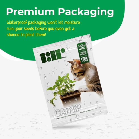 3000 Catnip Seeds for Planting - Nepeta Cataria - Heirloom Non-GMO USA Grown Herb Seeds for Planting...