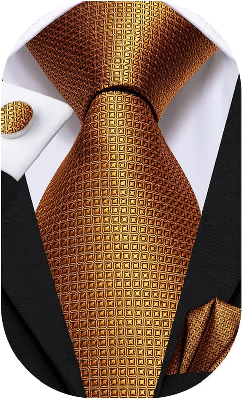 Dubulle Mens Paisely Silk Tie for Men Necktie and Pocket Square Set...