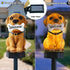 Outdoor Solar Dog Statues with LED Light, Cute Dog Welcome Statue for Garden Patio Yard Decor...