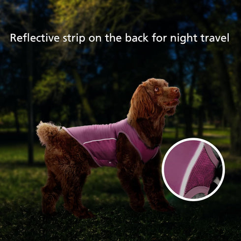 2 Pack UPF 50+ Sun Protection Dog Shirt,Sports Fan Pet T-Shirts for Small Dogs Girl, Lightweight Dog Tshirts with Reflective Strip Sleeveless Pupp...