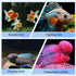 Fighting Fish Training Mirror, Double-Sided Fish Fighting Mirror, Fighting Fish Toys with Suction Cups, Used for Training Fighting Fish, Brontosau...