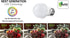 40W Equivalent Light Bulb,4W Led Bulbs 5000K Daylight,A15 LED Lights E26 base,Ceiling Fan Light Bulb,120V 40w Appliance Bulb,Non-Dimmable,6 Pack...