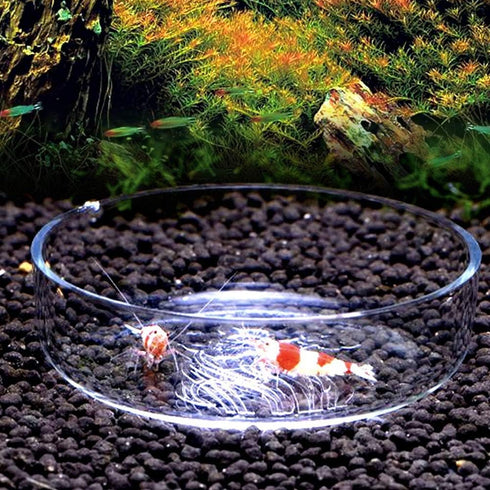 Acrylic Aquarium Shrimp Feeding Dish Bowl Fish Tank Transparent Food Container Feeder Tray Smaller Reptile Worms Pets Feeder Dish...