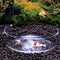 Acrylic Aquarium Shrimp Feeding Dish Bowl Fish Tank Transparent Food Container Feeder Tray Smaller Reptile Worms Pets Feeder Dish...