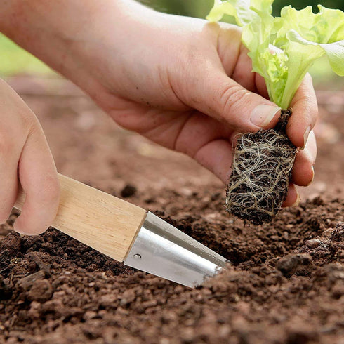 Garden Dibber as Soil Breaker Tool Hole Digger, Plant Bulb and Soil Digger as Garden Tool for Seed Tranplate, Depth-Stamp Stainless Steel with Pol...