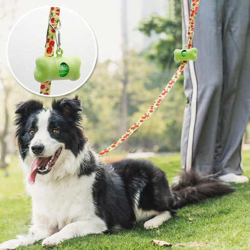 azuza 3 Pack Fruit Design Nylon Dog Leashes Strong & Durable Basic Dog Leash with Easy to Use Collar Hook for Small Dogs, S (6FT,5/8")...