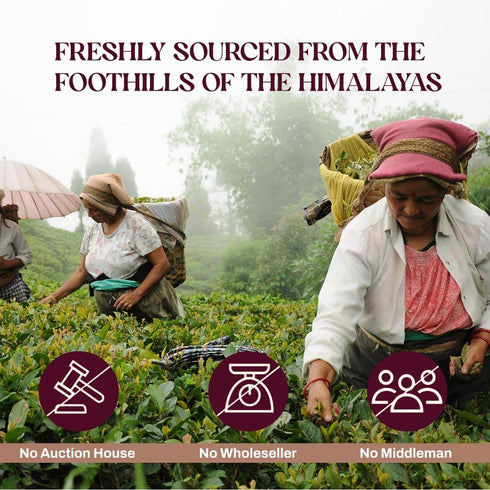 Organic Nepali Spiced Black Tea 30 Count (Pack of 2), Whole Loose Leaf Pyramid Tea Bags from the Himalayas, Biodegradable Tea Bags 100% Pure Blend...