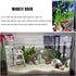 Aquarium Fish Shrimp Feeding Dish Set, Transparent Shrimp Feeding Tube, Fish Tank Feeding Supplies with Feeding Ring Cleaning Brush Aquarium Fish ...
