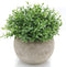 Velener Mini Sage Green Potted Boxwood Topiary Artificial Plants for Home Decor Indoor, Farmhouse House Plant Office Small Desk Shelf Apartment Co...