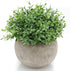 Velener Mini Sage Green Potted Boxwood Topiary Artificial Plants for Home Decor Indoor, Farmhouse House Plant Office Small Desk Shelf Apartment Co...