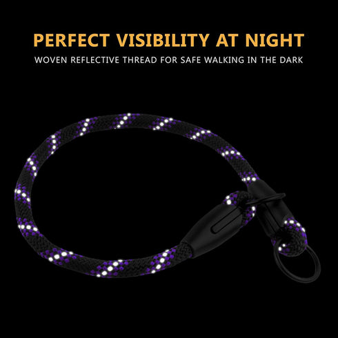 BronzeDog Rope Pro Training Dog Collar Braided No Pull Quick Release Round Lead Collars for Dogs Small Medium Large Puppy (S - 17.7" Long, Purple)...