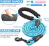 BAAPET 2 Packs 5/6 FT Dog Leash with Comfortable Padded Handle and Highly Reflective Threads Dog Leashes for Small Medium and Large Dogs (5FT-1/2'...