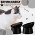 Zhehao 2 Pieces Plastic Raised Bowl Tilted 15 Degrees Elevated Cat Food and Water Bowls Set Anti Vomit Dog Kitten Food Dishes Pet for Cats and Sma...