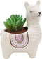 Succulent Pot, 4.5 Inch Alpaca Shaped Ceramic Succulent Cactus Flower Plant Pot Planter for Home Garden Office Decoration (Plant Not Included) (Wh...