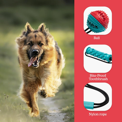 Dog Chew Toy with Rope and Ball Attachment - Durable Squeaky Dog Chew Toy for Aggressive Chewer Large Breed - Non-Toxic and Interactive Dental Cle...